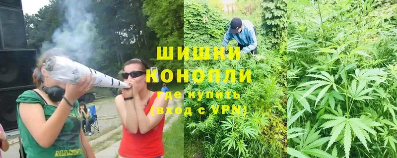 Марихуана SATIVA & INDICA  darknet наркотические препараты  Арсеньев 